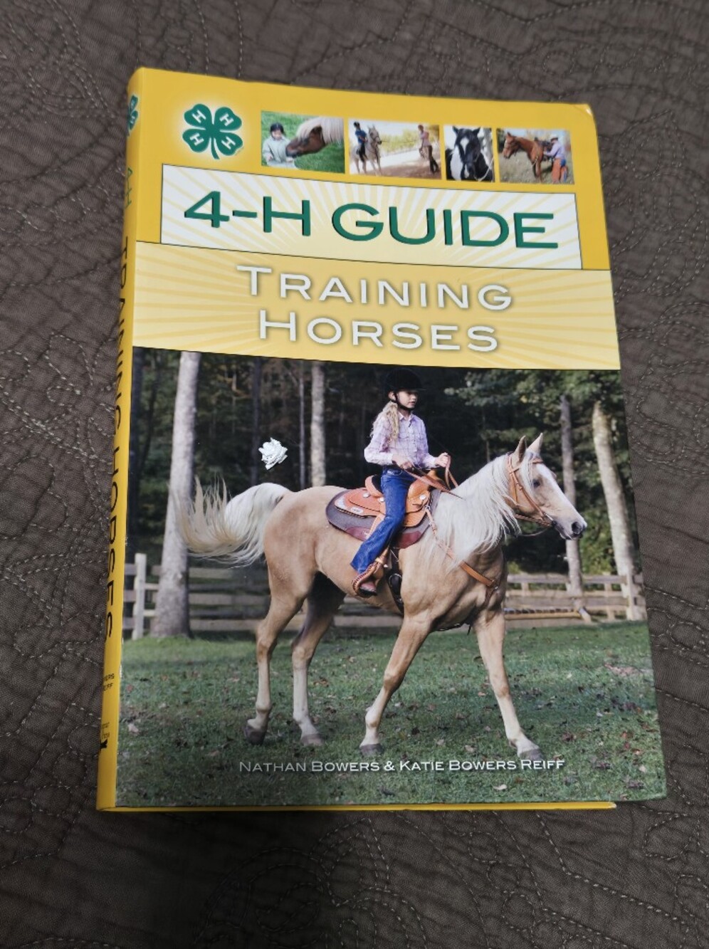 Guide to Training Horses, 4H equestrian softcover 4-H horse care